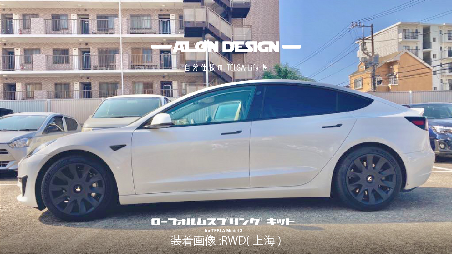 モデル3用ローフォームスプリングキット
