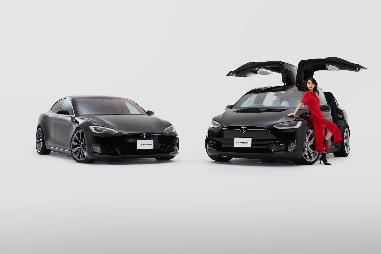ModelS/X用ローダウンKIT